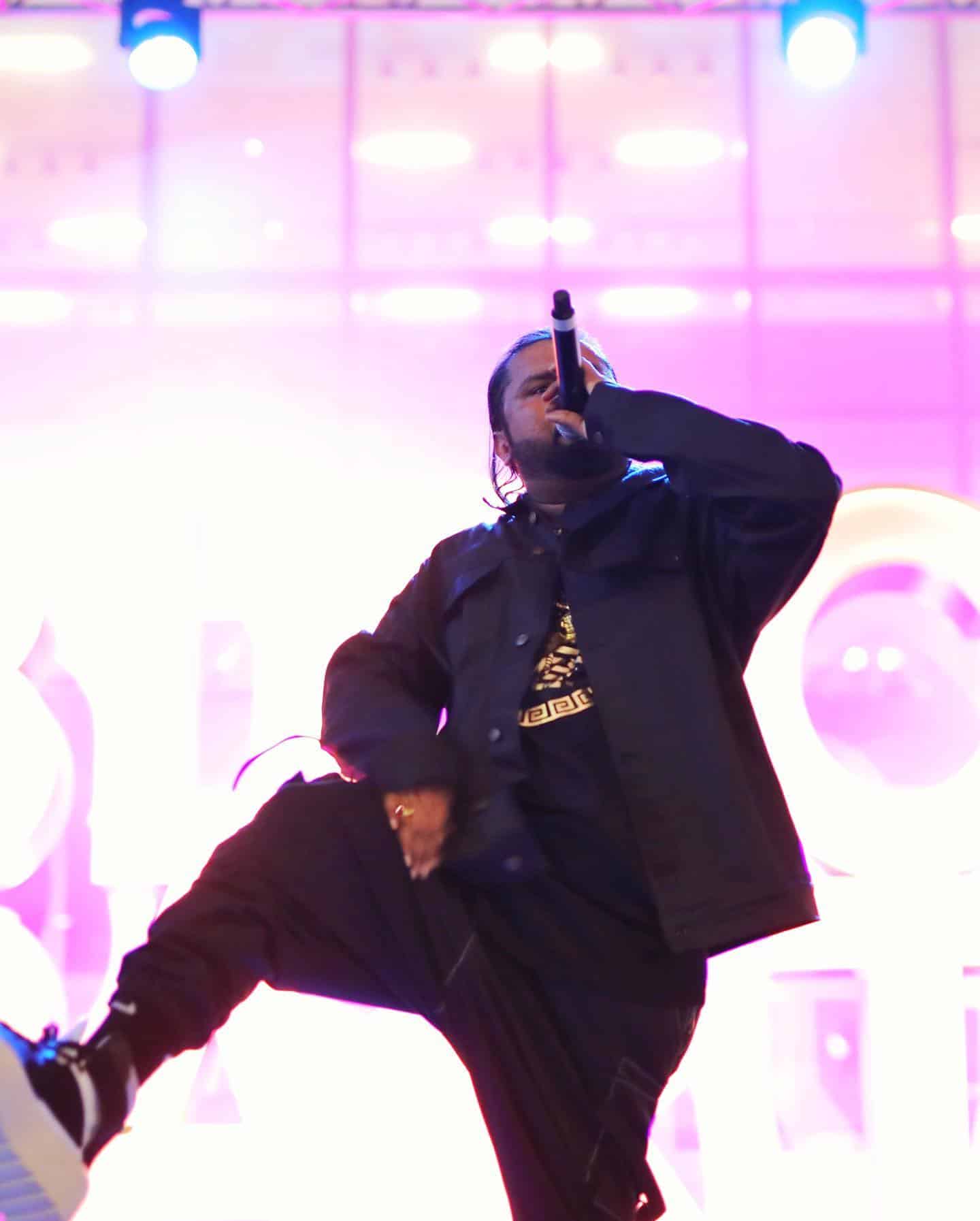 Yo Yo Honey Singh Pic