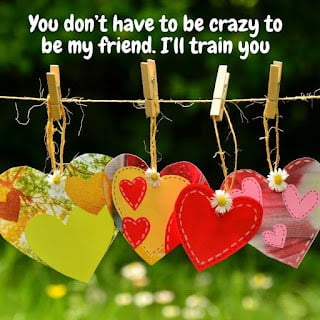 Friends DP