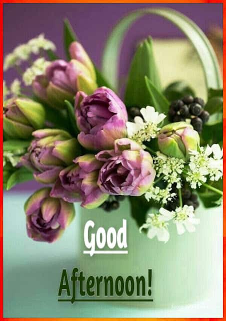 Beautiful Good Afternoon Images