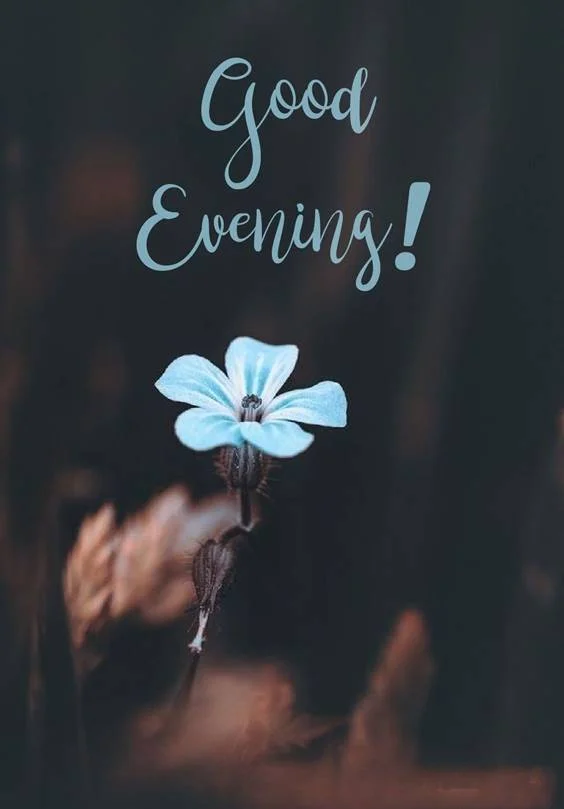 Beautiful Good Evening Images