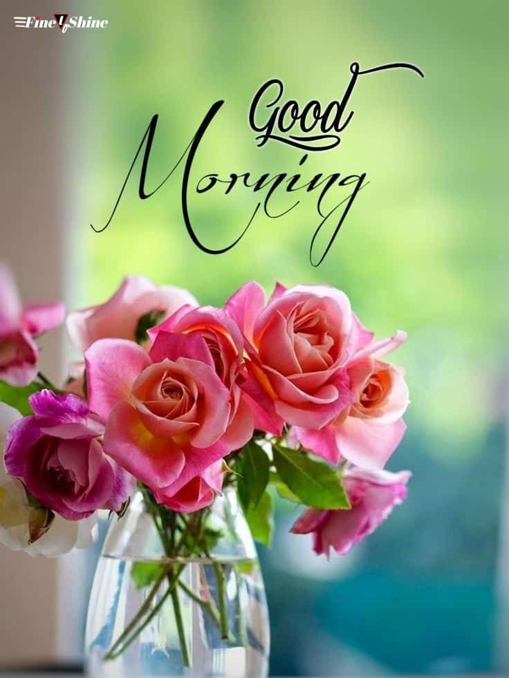 Good Morning Wallpaper