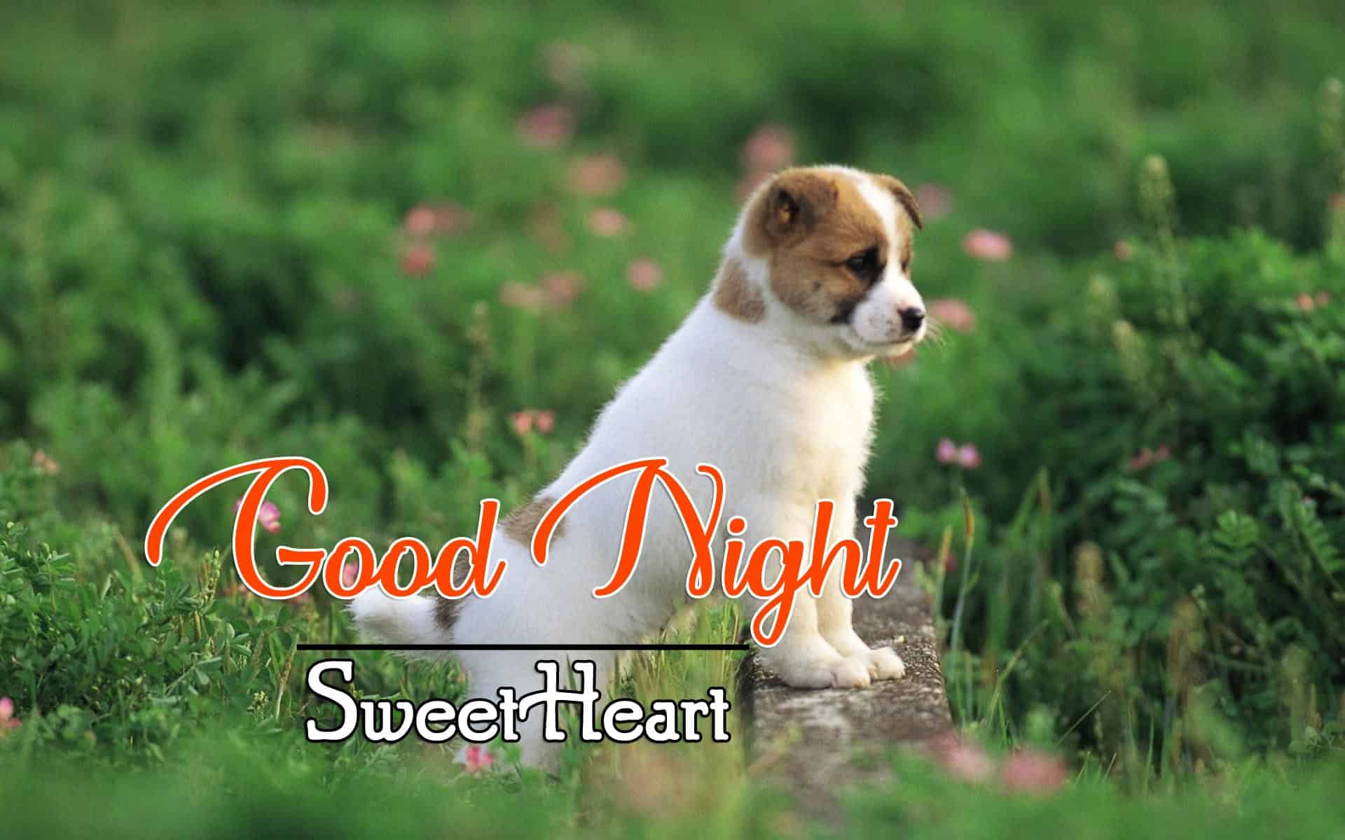 New Good Night Images
