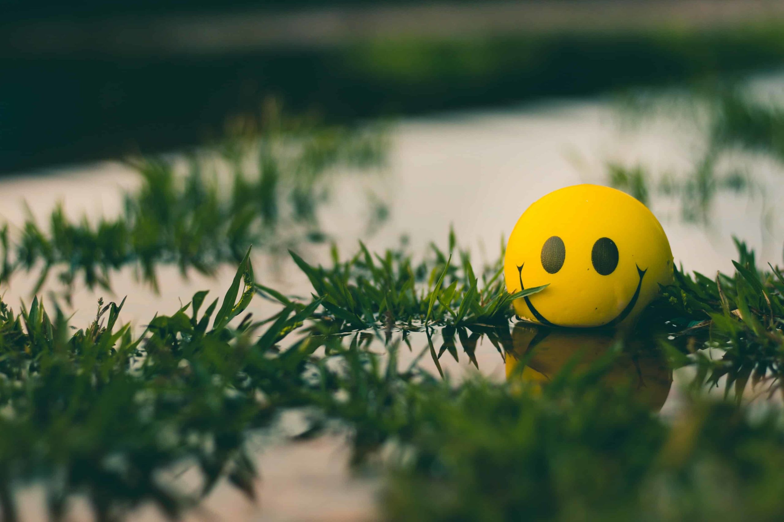 Smile DP