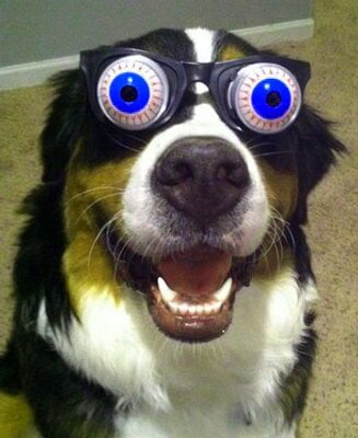 Funny DP Images