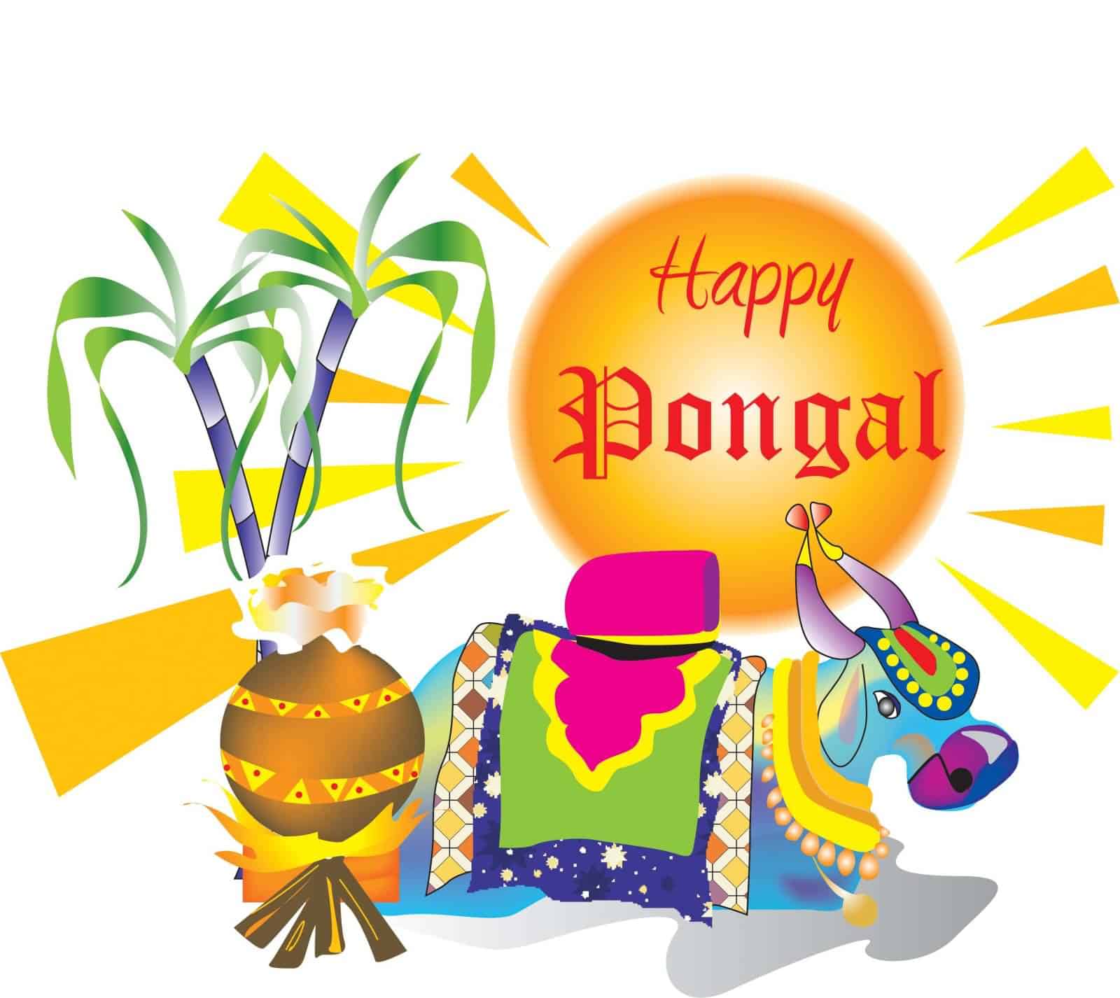 Happy Pongal Images HD