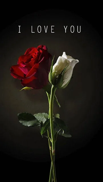 I Love You Images HD
