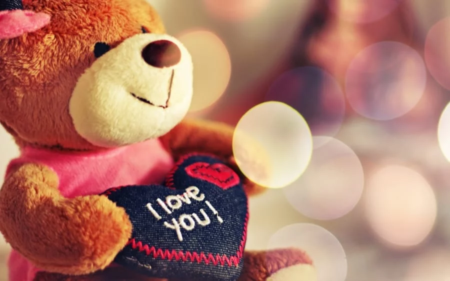 I Love You Photo