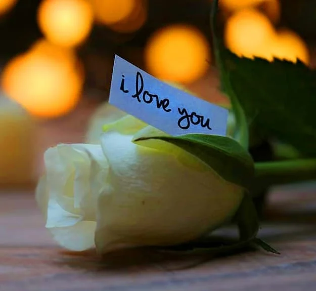 I Love You Photo
