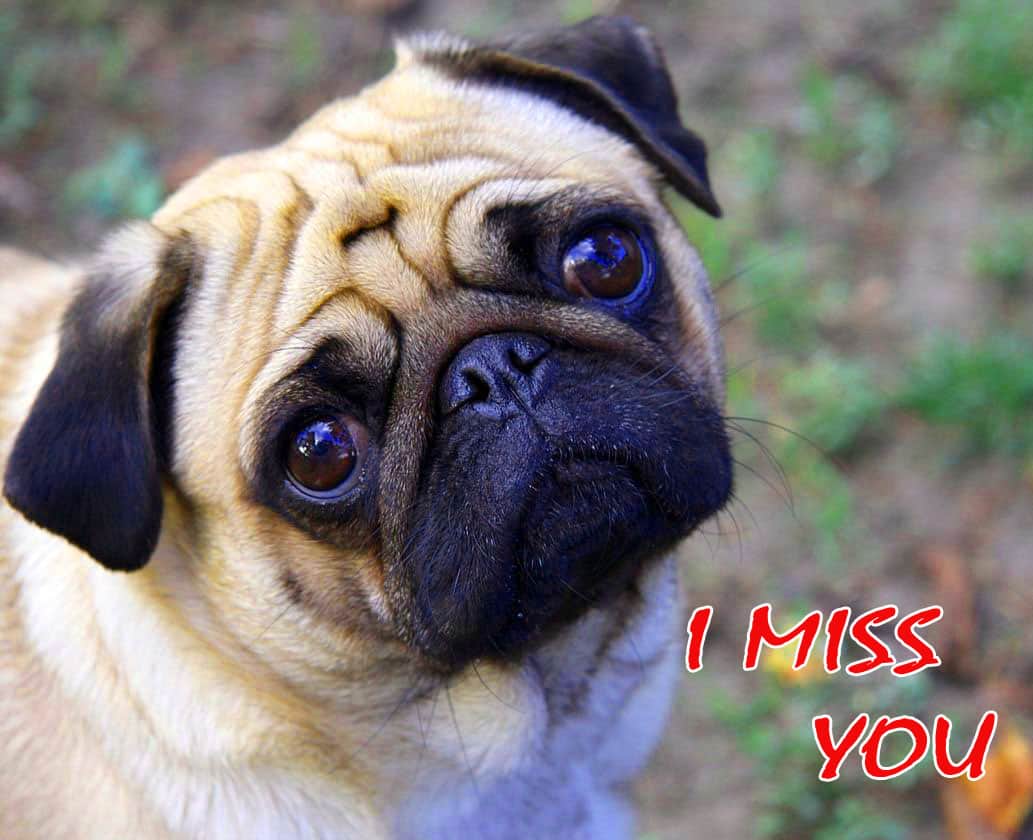 I Miss You Wallpaper