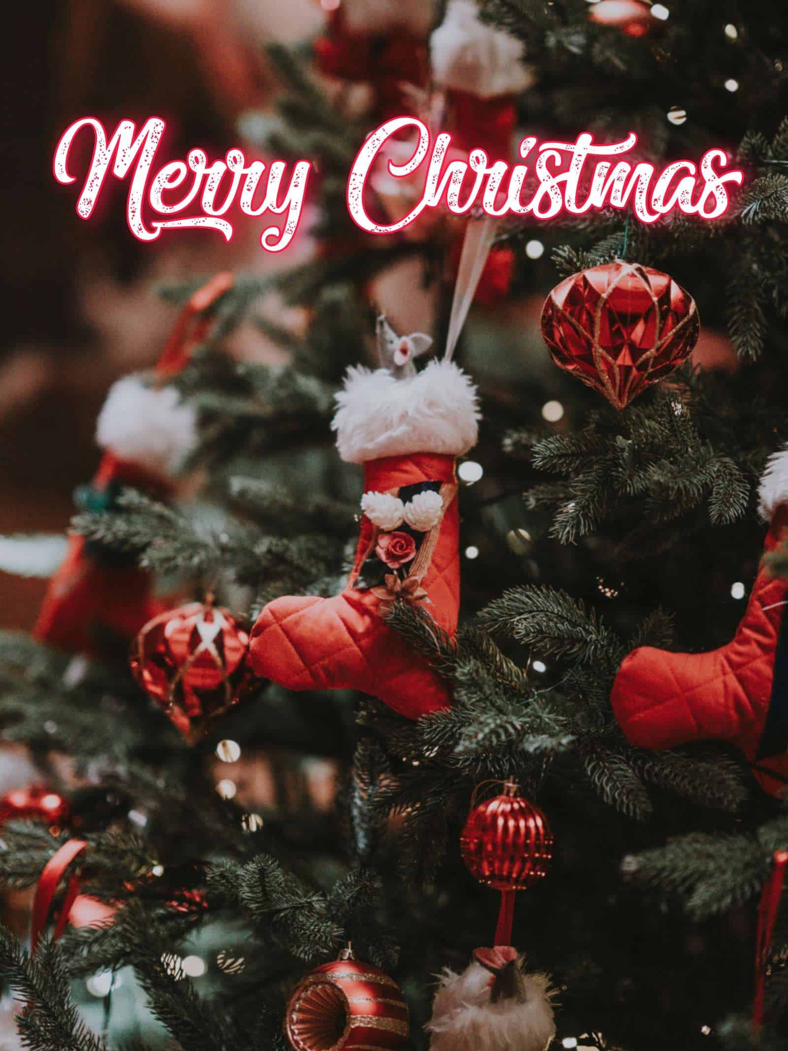 Happy Merry Christmas Images