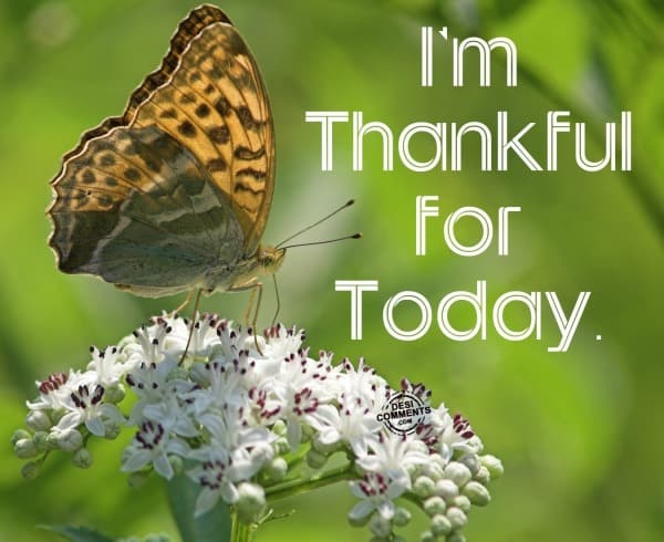 Thank You Images HD