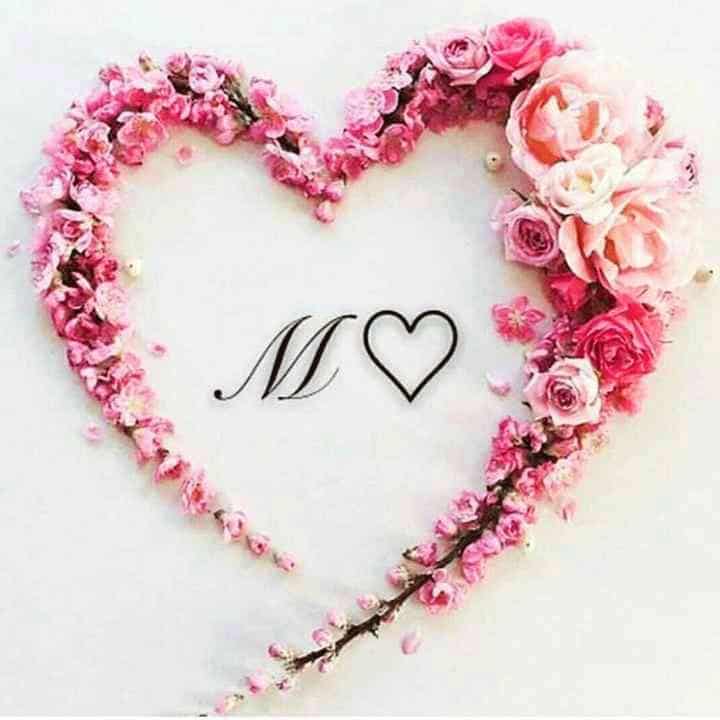 M Name DP New