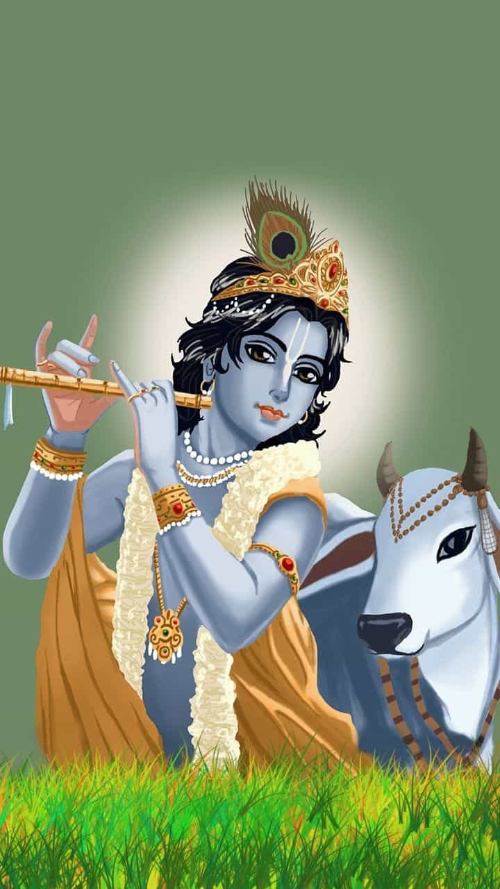 Krishna Images