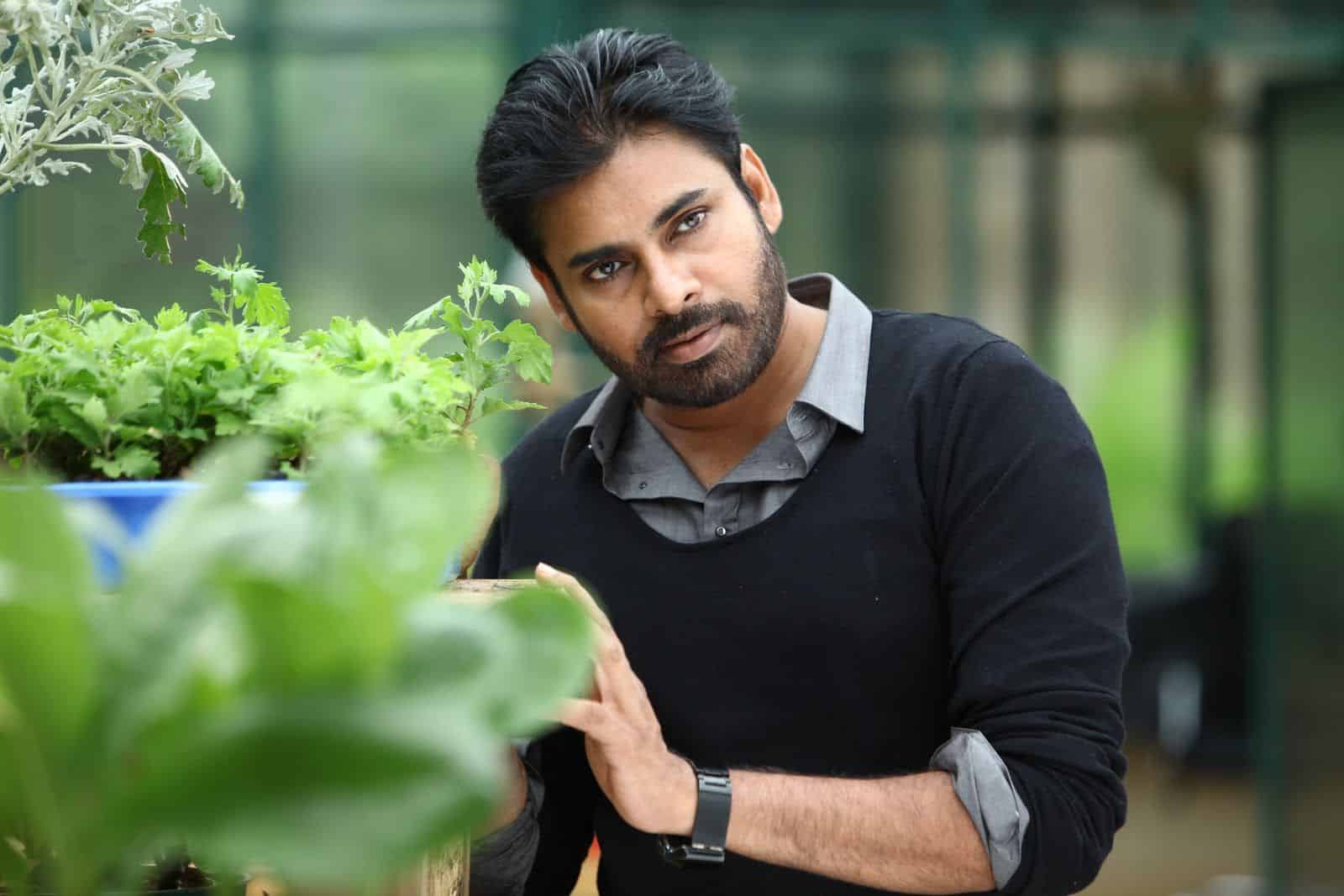 Pawan Kalyan Wallpaper
