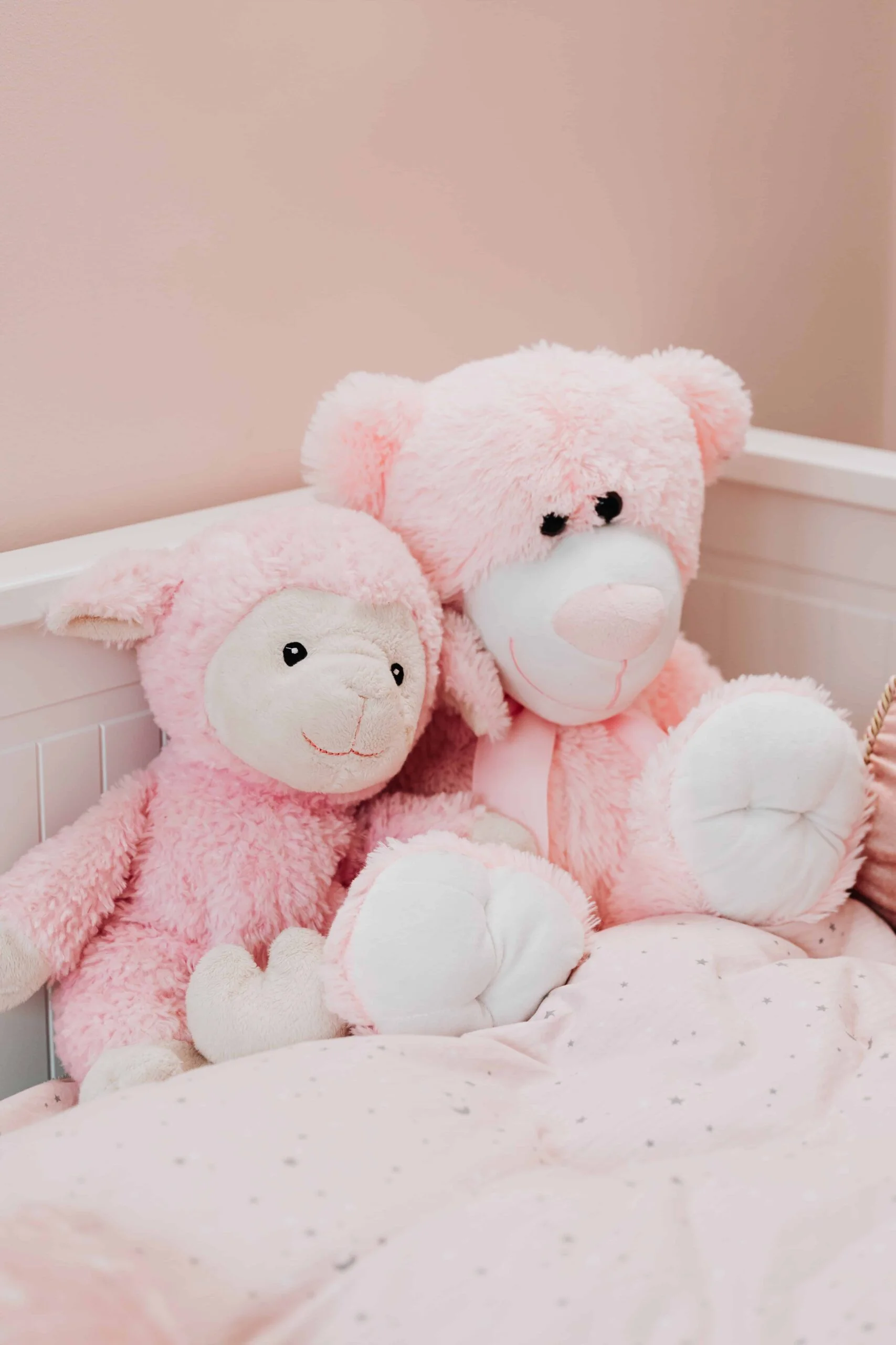 Big Teddy Bear DP