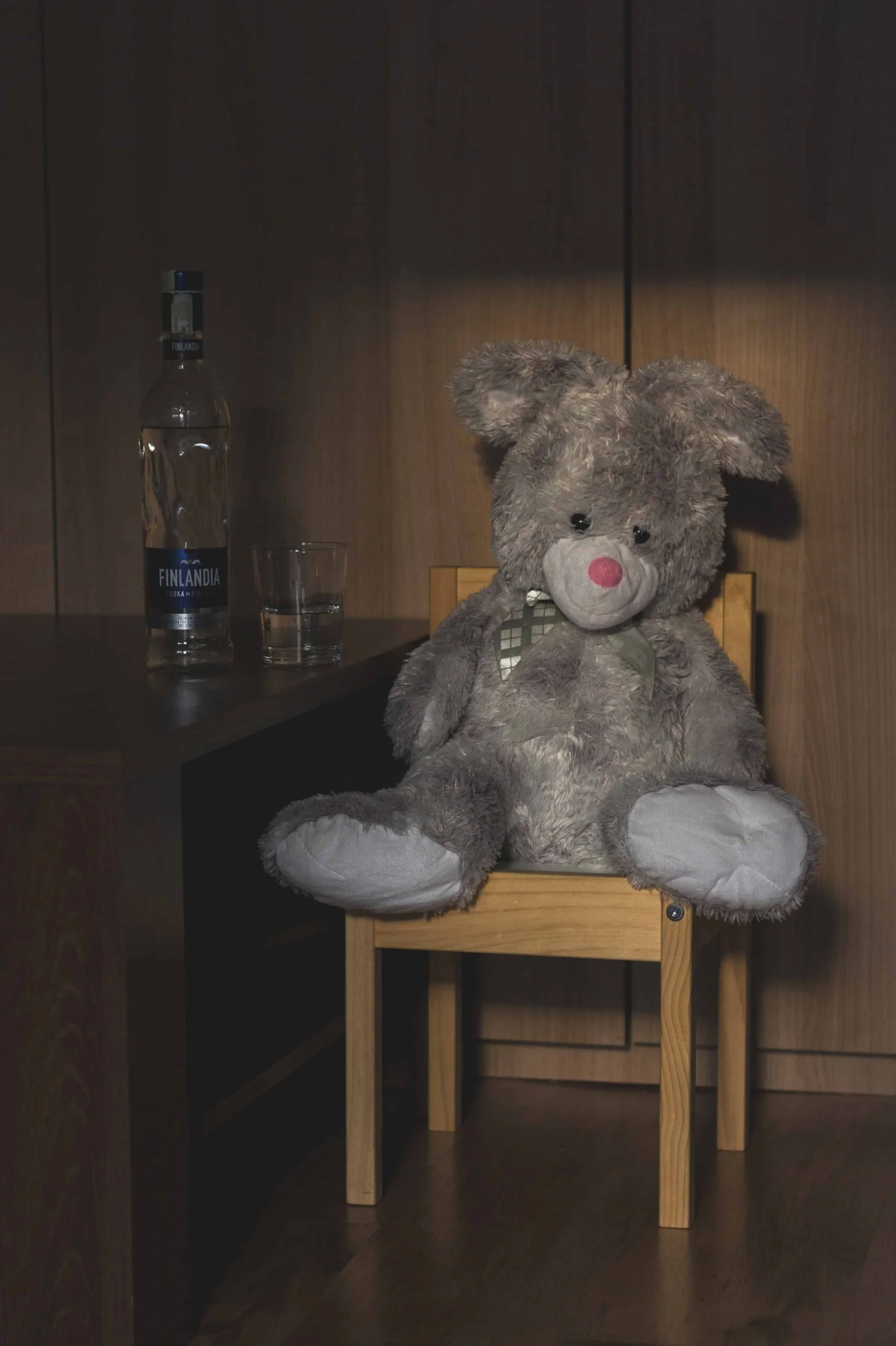 Teddy Bear DP