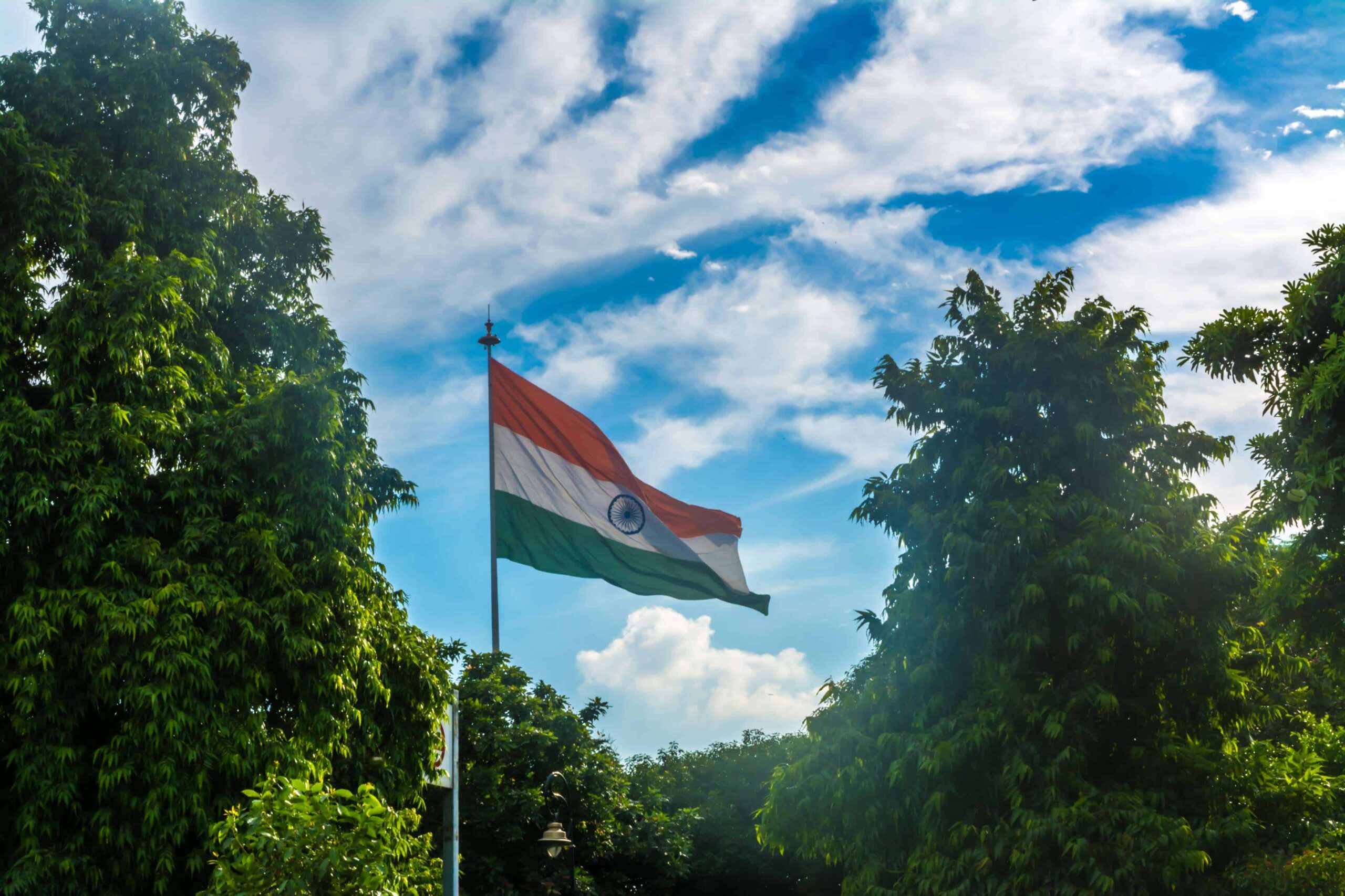 Indian Flag DP HD