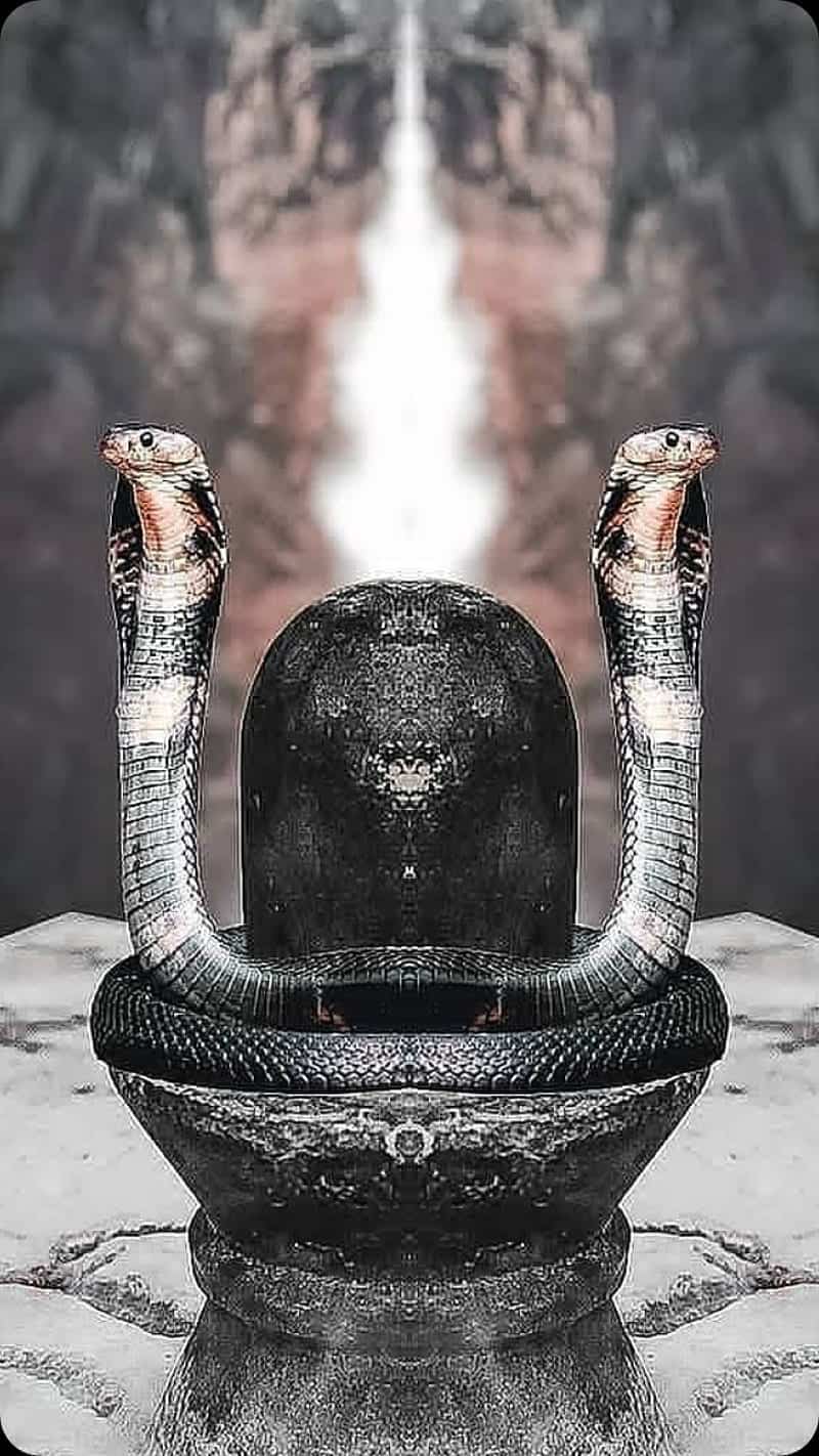 Shivling Images HD