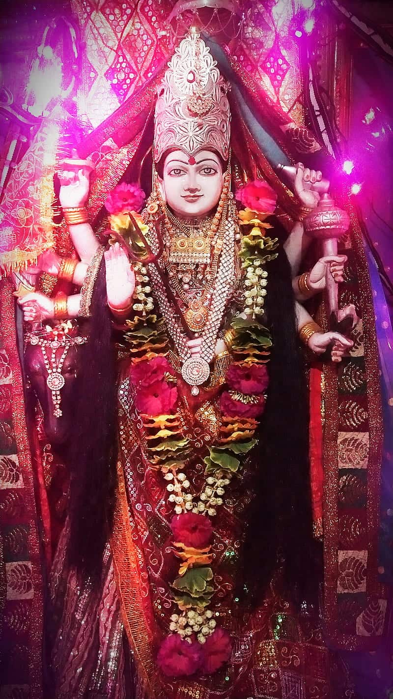 Jay Meldi Maa Photo