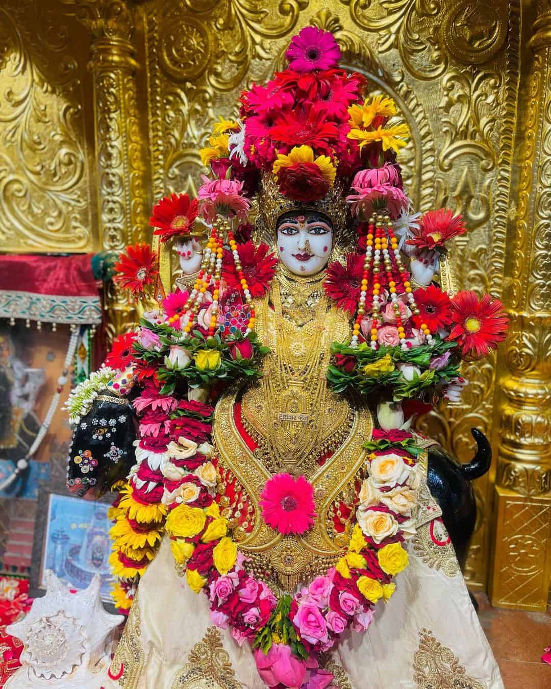 Jay Meldi Maa Photo