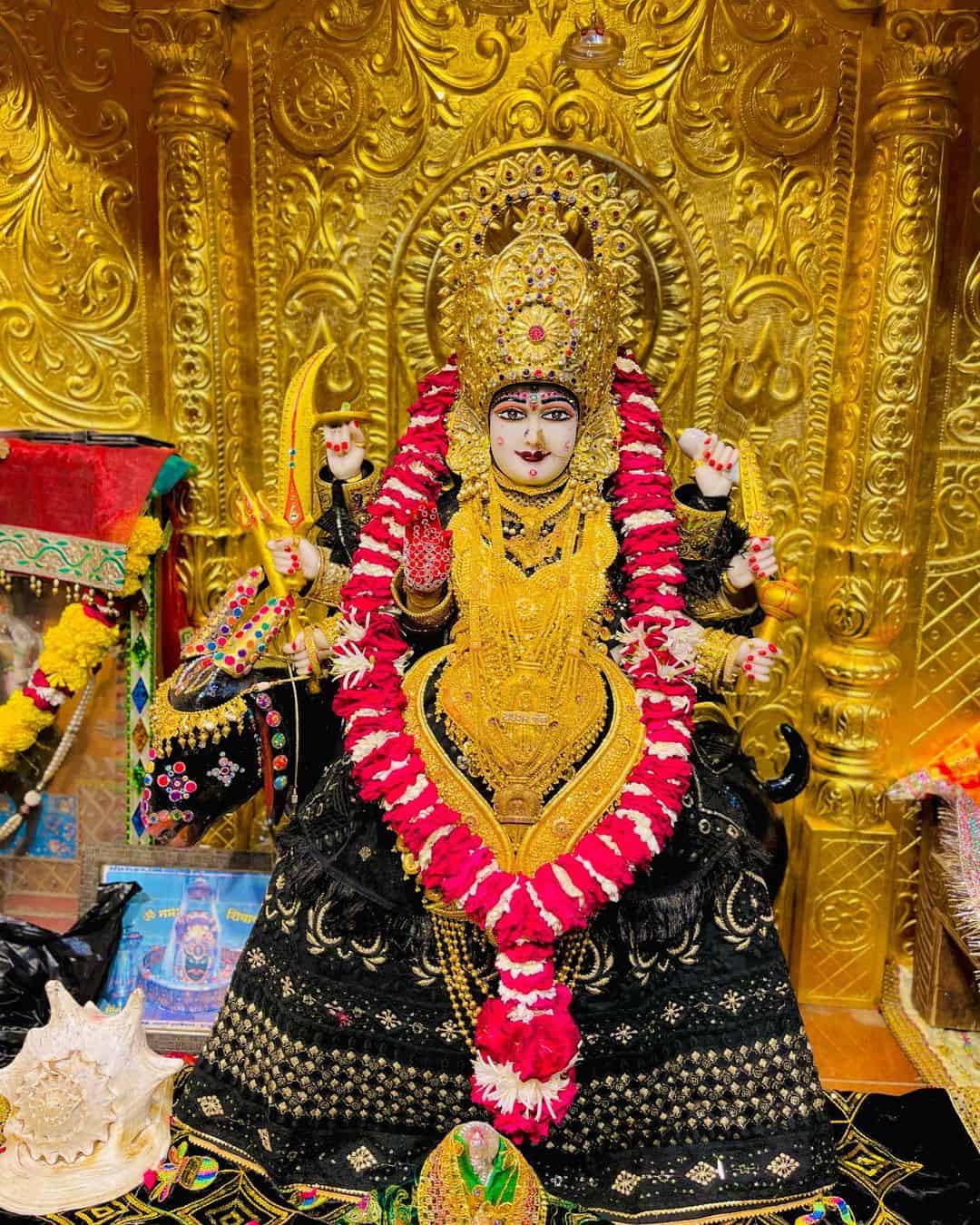 Jay Meldi Maa Photo
