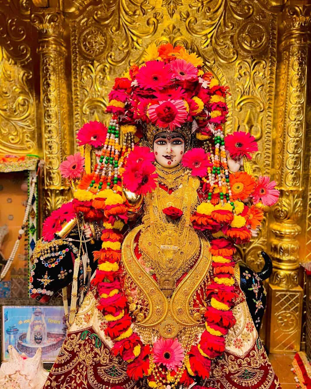 Jay Meldi Maa Photo
