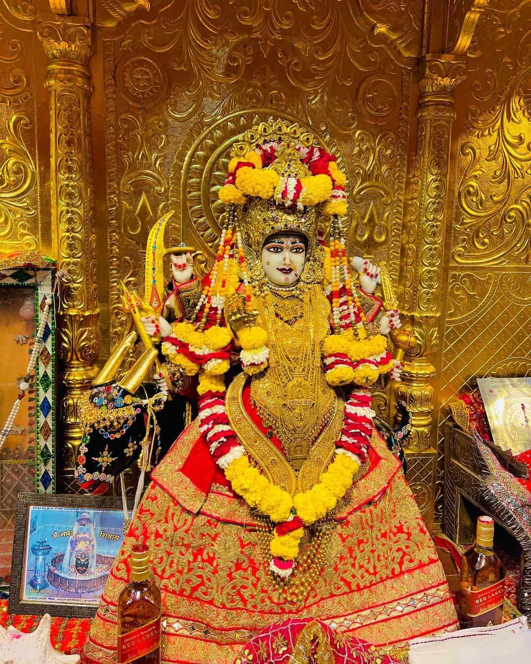 Meldi Maa Image