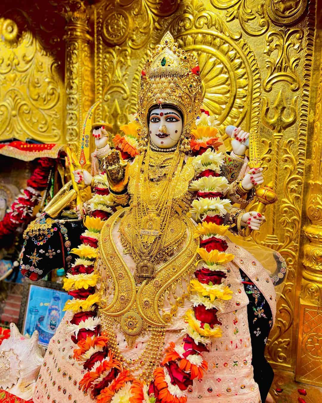 Meldi Maa Image