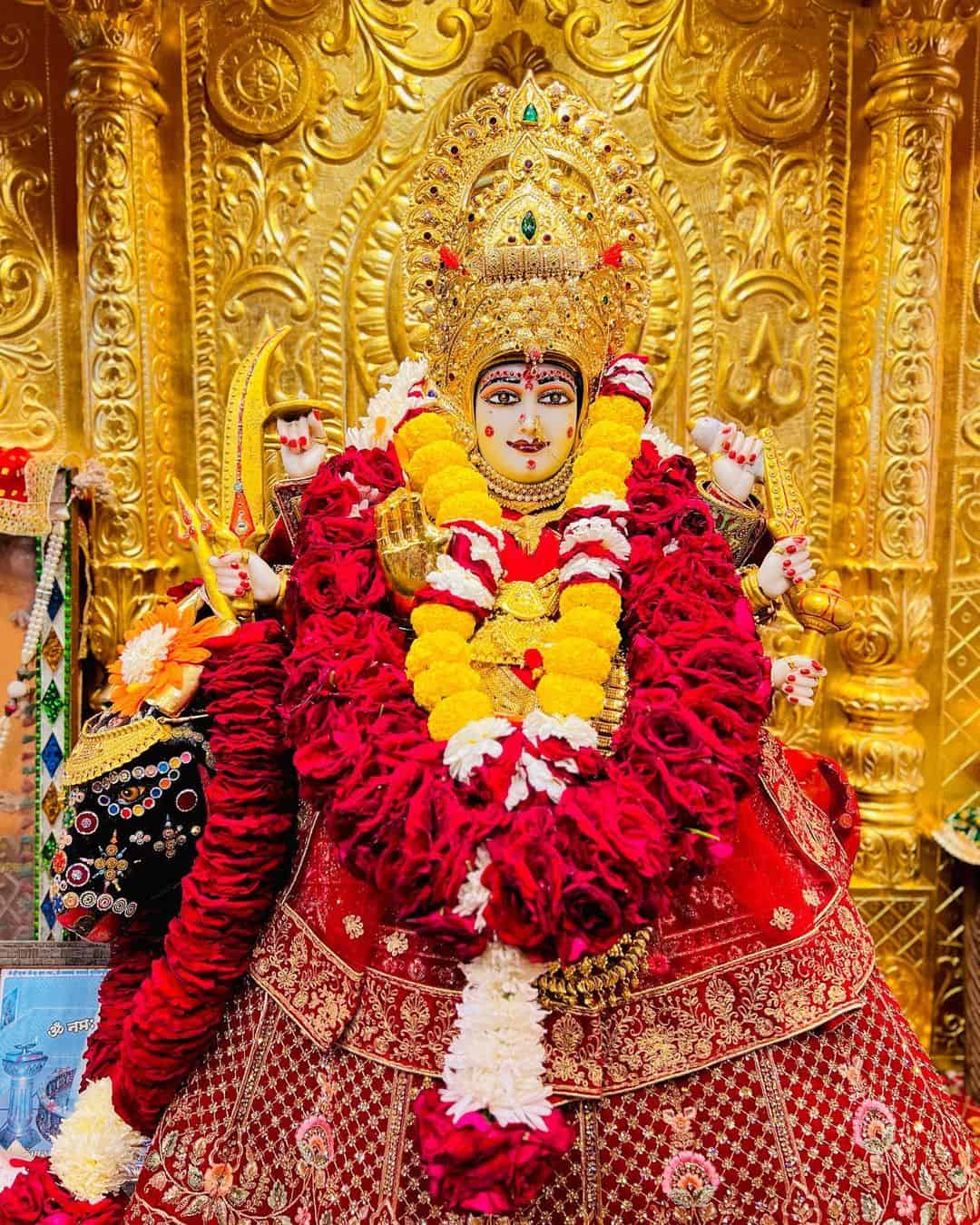 Meldi Maa Image
