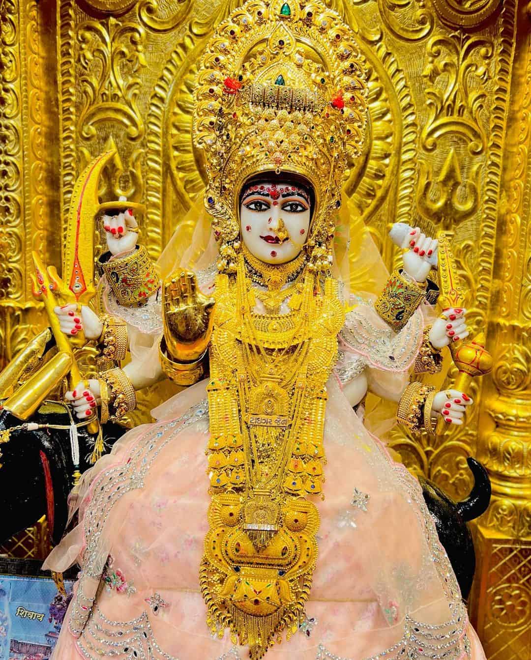 Meldi Maa Pic