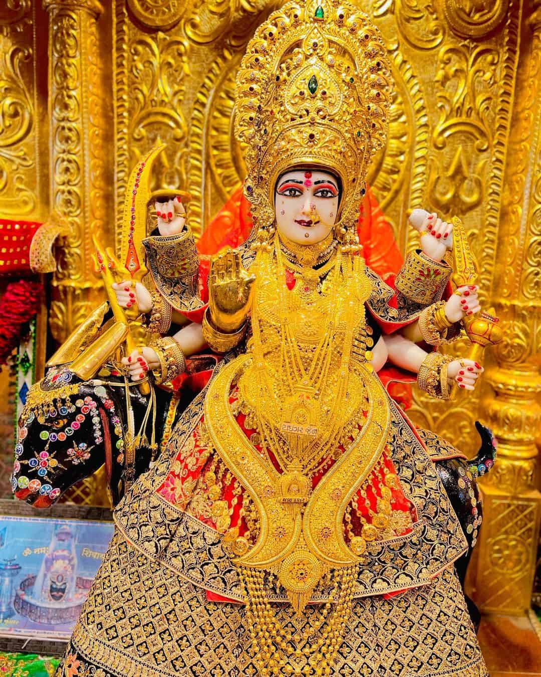 Meldi Maa Pic
