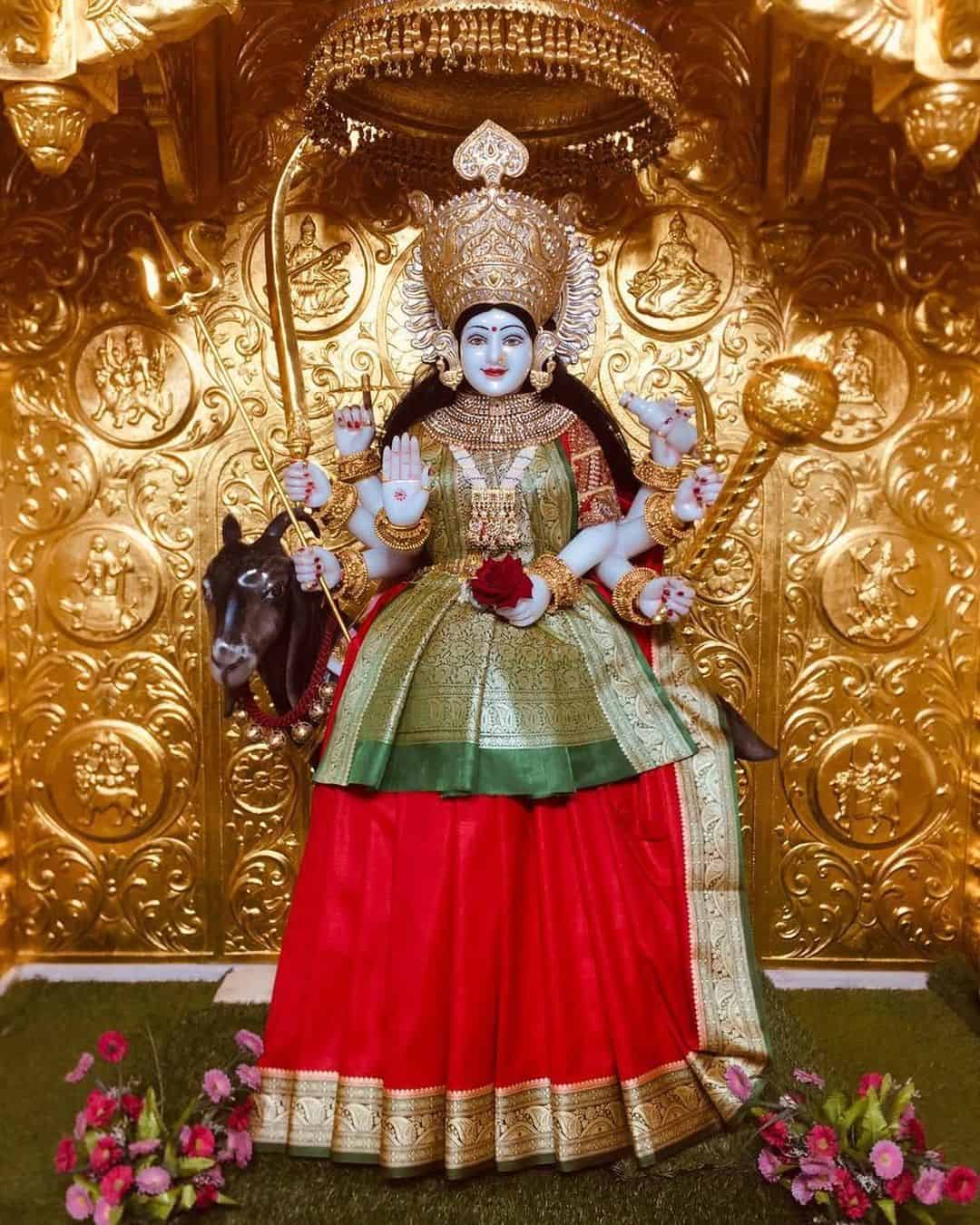 Meldi Maa Pic